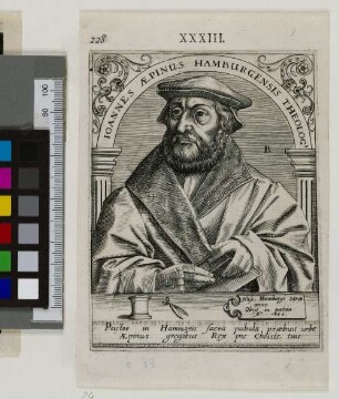 Ioannes Aepinus Hamburgensis Theolog[us]