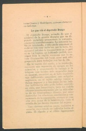 Lo que vió el diputado Bunge
