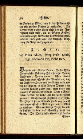 Fichte. - Haynbuche.