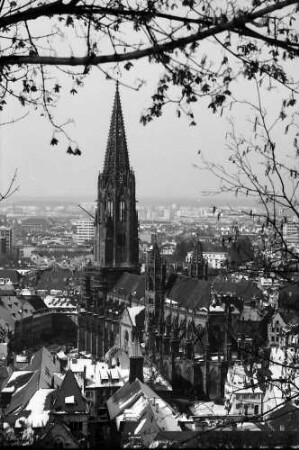 Freiburg: Münster vom Kanonenweg