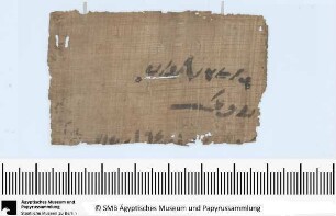 Demotischer Papyrus, Hochformatbrief