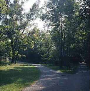 Hansjakob, Gottfried; München - Oberföhring; Isarinsel - Spazierweg, Weggabelung, Blick ins Grüne