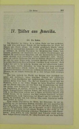 IV. Bilder aus Amerika