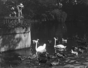Bischofswerda. Parkteich