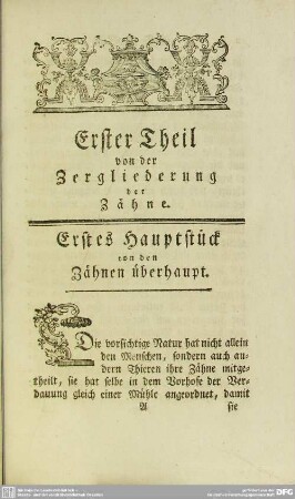 Erster Theil von der Zergliederung der Zähne
