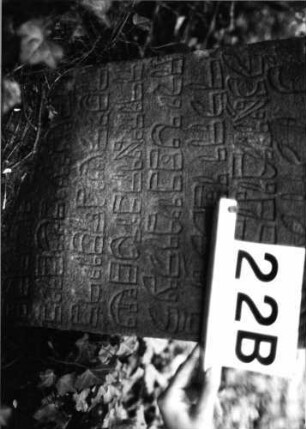 Grabstein 22 (Index: 99804093) Material: Sandstein Zustand: eingesunken(befestigt)Datenverlust Maße HxBxT: 0x0x0 cm Beschreibung: Stele mit eingezogenem Flachbogen: Grabstein 22B
