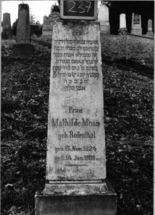 Grabstein 237 (Index: 100090336) Material: Sandstein o. Marmor/Bleibuchstaben Zustand: gut Maße HxBxT: 152x38x30 cm Beschreibung: Obelisk, Sockel: Grabstein 237