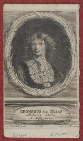Bildnis des Regnerus de Graaf