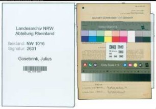 Entnazifizierung Julius Gosebrink , geb. 23.08.1892 (Polsterer)