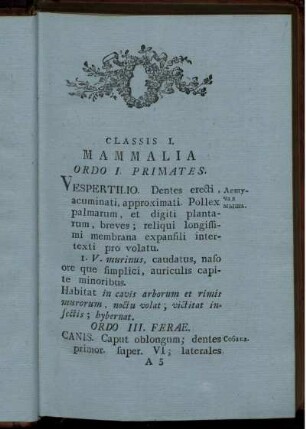 Classis I. MAMMALIA.