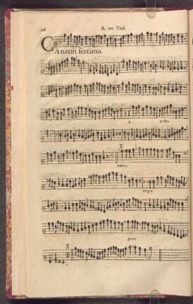 Canzon Settima.