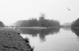 Zusammenfluss von Pleiße und Elsterflutbett