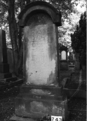 Grabstein 743 (Index: 99630245) Material: Sandstein Zustand: stark verwittert, Textverlust Maße HxBxT: 190x57x23 cm Beschreibung: Stele auf getrepptem Sockel mit Rundbogenaufsatz: Grabstein 743