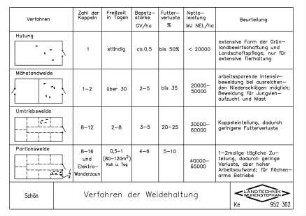 Verfahren der Weidehaltung