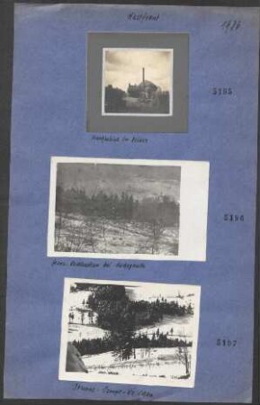 Jeunes Camps Wäldchen