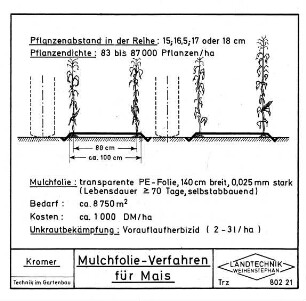 Mulchfolie-Verfahren für Mais