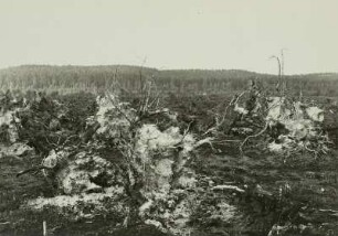 Braunkohletagebau Großräschen, Waldrodung