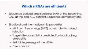 RISCy Business: Development of a RNAi design and off-target prediction software