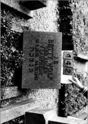Grabstein 442