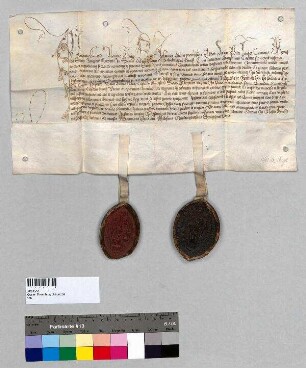 Das Kloster Seeon nimmt das Kloster Baumburg in seine Gebetsbruderschaft auf.; S1: Abt Simon von Seeon; S2: Konvent von Seeon