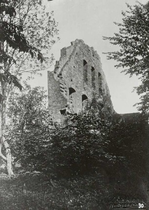 Bad Doberan, Kloster Doberan, sog. Wolfsscheune, Westgiebel der Ruine. Reproduktion nach Originalabzug, bezeichnet "A. Beckmann / Heiligendamm". Vorlage wurde zum Zweck der Reproduktion mit Stiften auf einem Holzbrett fixiert