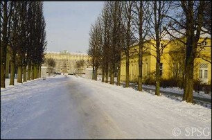Potsdam, Park Sanssouci, Allee an Grünen Gitter im Winter, im Hintergrund Terrasse und Schloss Sanssouci.