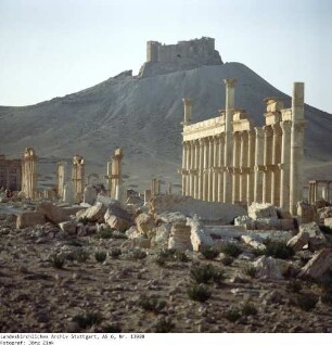 Syrien: Palmyra