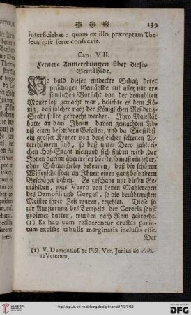 Cap. VIII: Fernere Anmerckungen über dieses Gemählde