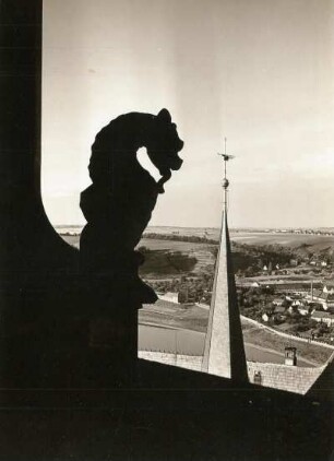 Drache am Nordwestturm