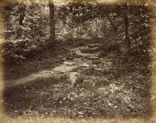 Mittelgrundstudie: Felsiger Weg im Walde
