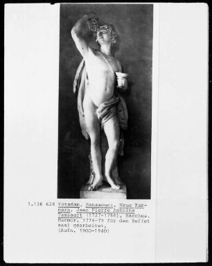 Bacchus