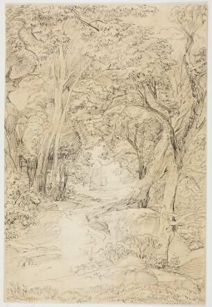 Waldweg