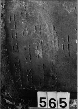 Grabstein 565 (Index: 99802795) Material: Sandstein Zustand: unten z. T. abgeblätt/eingesunk/Textverl. Maße HxBxT: 94x56x11 cm Beschreibung: Stele mit Karniesbogen, profiliertem Rand, Giebelfeld: Grabstein 565 (Detailaufnahme)