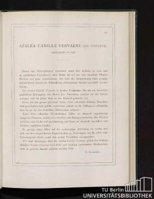 Azalea Camille Vervaene.
