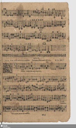 XXIV. Alleluia triumphum canite