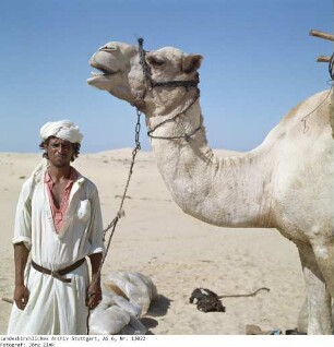 Nordwesten - Sinai