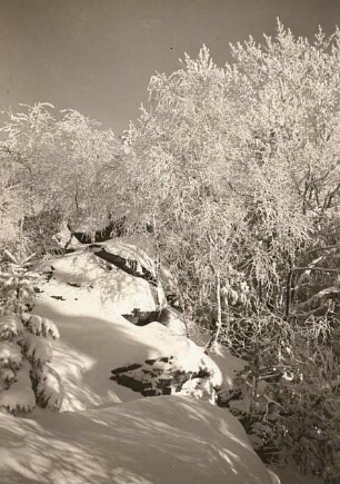 Oberlausitz. Döhlener Berg: Auf dem Felskamm. Winterbild