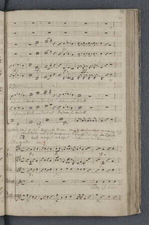 No 14. Allegretto.