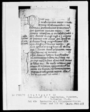 Psalterium mit Kalender — Initiale D (eus) I (n te), Folio 65verso