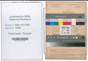 Entnazifizierung Theodor Haschmann , geb. 20.05.1886 ()