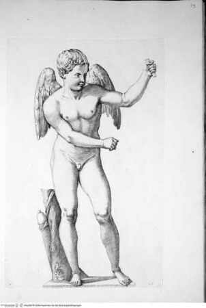 Galleria Giustiniana del marchese Vincenzo Giustiniani. 2 Bände., 1. Band, Tafel 27: Amore (nach der Antike)