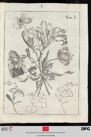 Tab. I [Blumen (teilw. Schemata)]