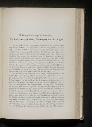 Siebenundzwanzigster Abschnitt. Die Speiseröhre (Schlund, Ösophagus) und der Magen.