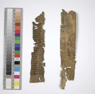 Parzival, Fragmente mit Teilen der Verse 381,5 - 385,16 - BSB Cgm 9342