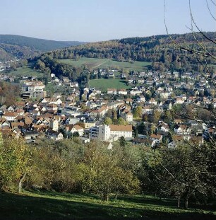 Bad Orb. Blick auf die Stadt