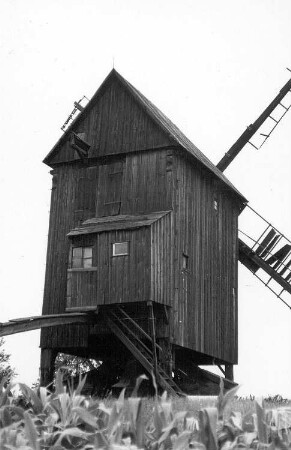 Lebusa. Bockmühle