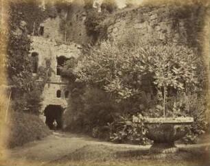 Studien vom Heidelberger Schloss und anderen Ruinen: Teil der Ruine Hardenburg mit Brunnenschale und Gesträuch