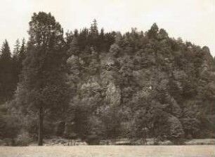 Tal der Weissen Elster. Steilufer unterhalb der Rentzschmühle