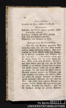 Ableger von Nelkenstöcken.