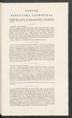 XXXVIII. Passiflora Laurifolia
